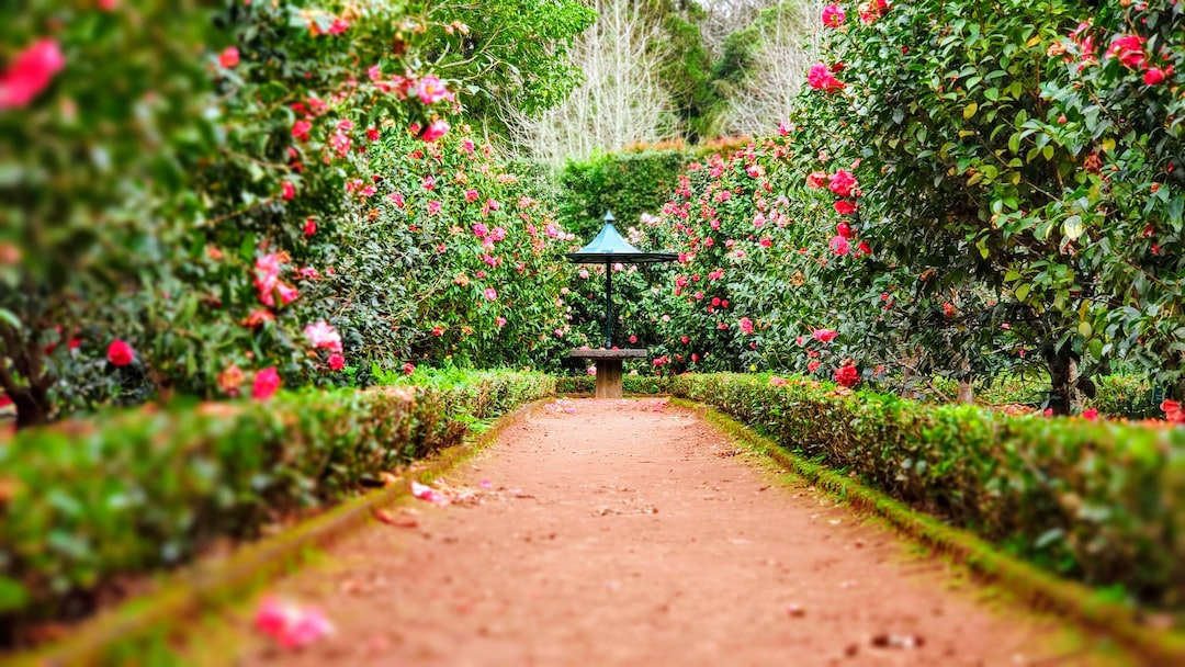Obrzeża ogrodowe – Piękno i Porządek w Twoim Ogrodzie