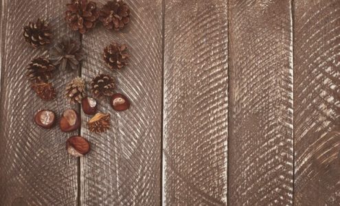 Naturalne inspiracje w aranżacji wnętrz: jak wprowadzić motywy przyrody do salonu