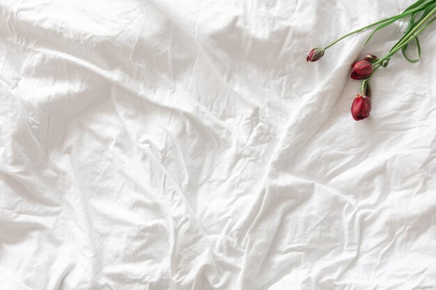 Idealne prześcieradło na chłodniejsze noce: korzyści z wyboru materiałów flanelowych