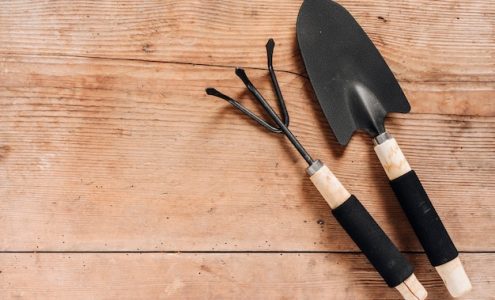 Jak wybrać odpowiednie narzędzia ogrodnicze do swojego ogrodu?